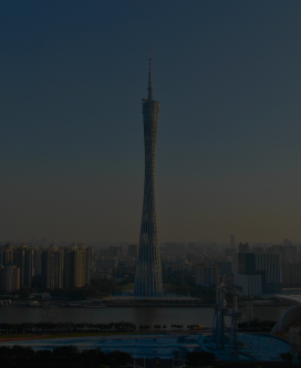 已选中