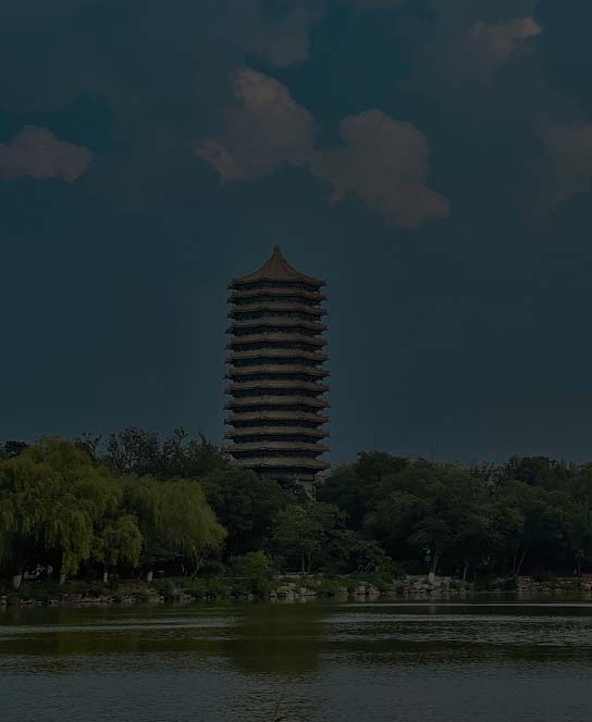 已选中